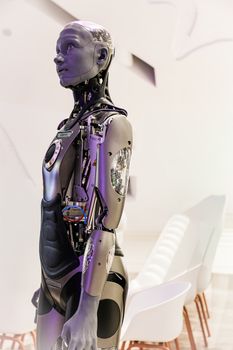 Représentation de l'Intelligence Artificielle et son évolution par le biais d'un robot humain